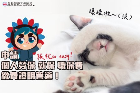 申請個人勞保 就保 職保費 繳費證明管道